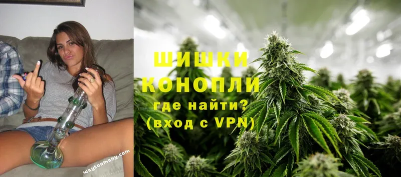 Бошки марихуана White Widow  блэк спрут как войти  Кувшиново  купить наркотик 